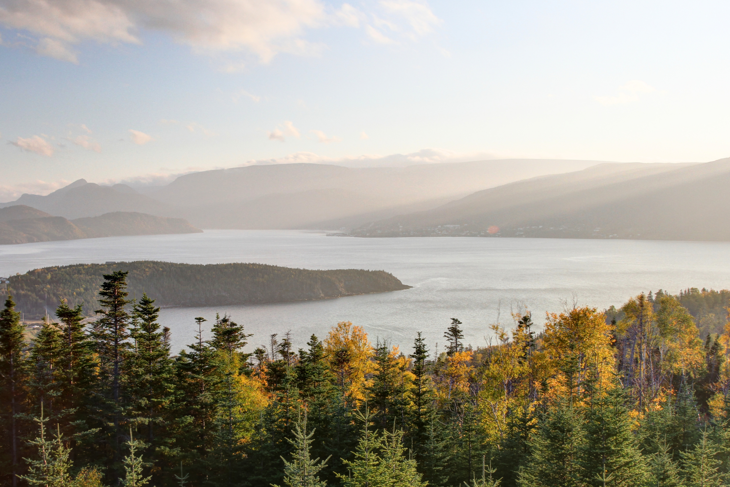 299 woody point, gros morne national park, newfoundland and labrador.webp
